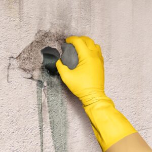 Sika® 2 x 4L - Imagen 2