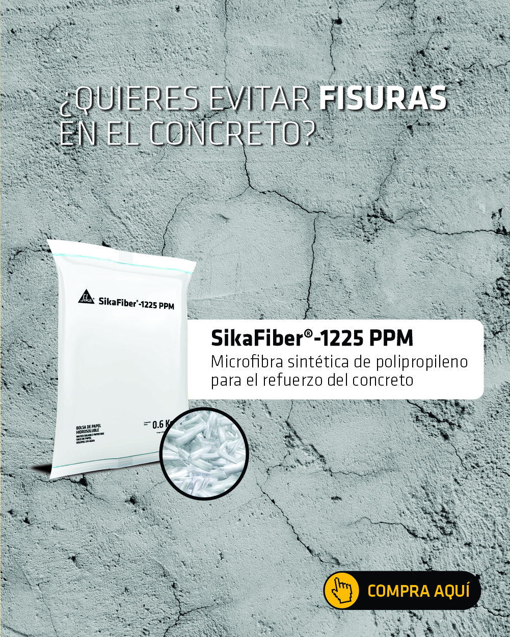 Banner principales web.jpg